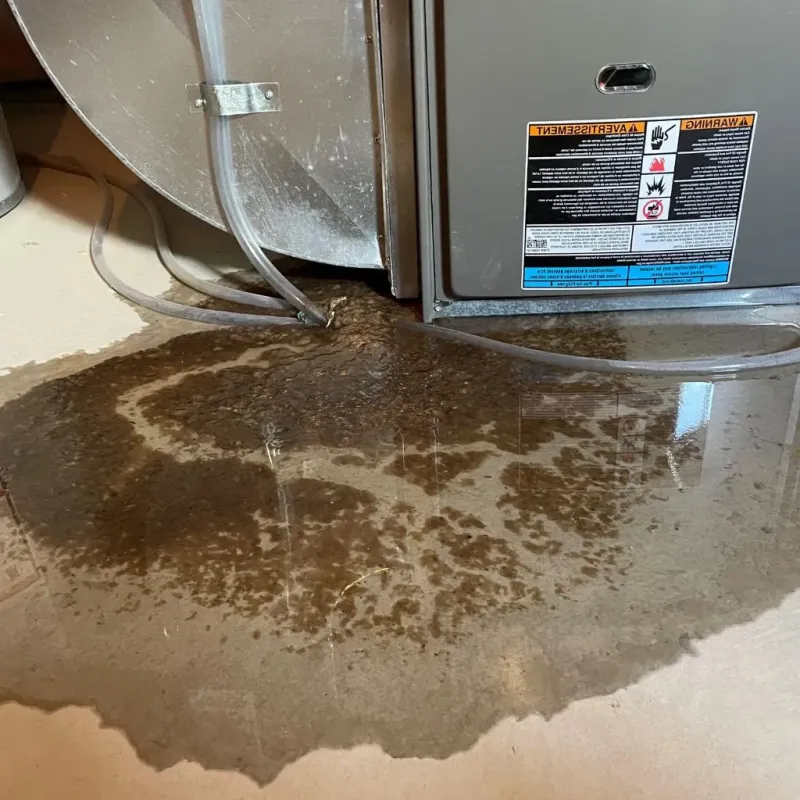Pipe Burst and Leak Restoration in Atlanta, GA